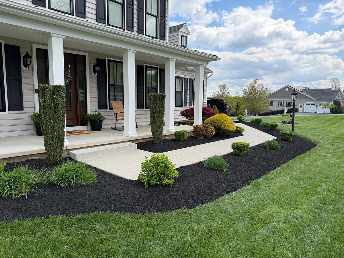 Fresh mulch beds and trimmed shrubs at a Westminster front yard