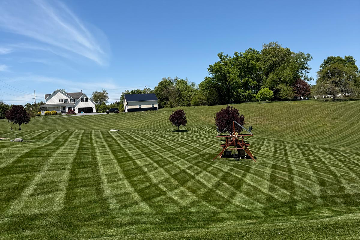 Striped mowing pattern on a large Carroll County lawn